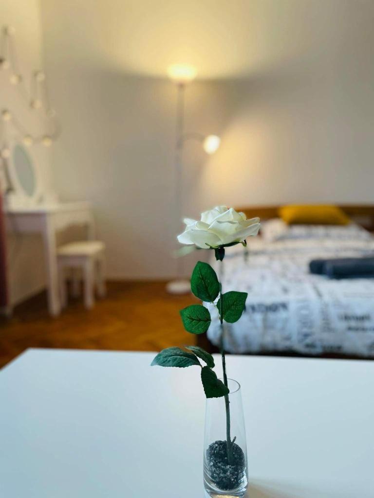 Lovely 2Bdr In Center, Wifi & Self-Check In Братислава Екстер'єр фото